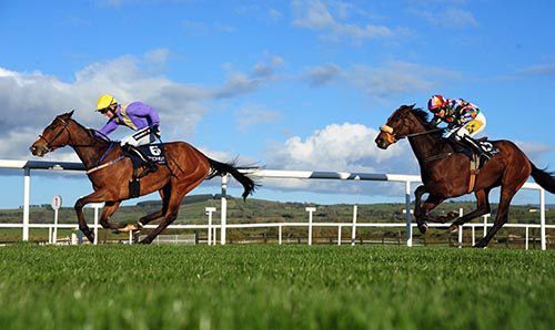 Ciloas Emery (Patrick Mullins) beats Someday (Kate Harrington)