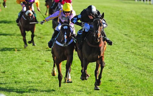 Coeur De Lion beating Jenkins at Punchestown
