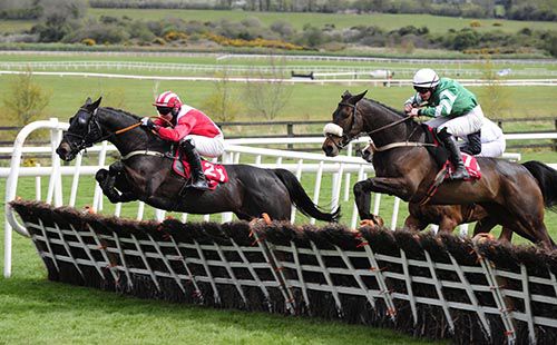Shamiran and Niall Kelly lead Go Darsi Go