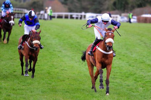 One Track Mind wins at Punchestown