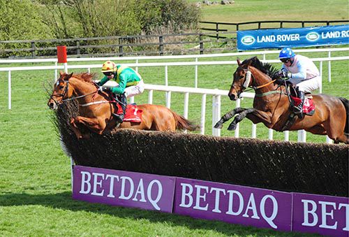 Shin A Vee leads Enniskillen home