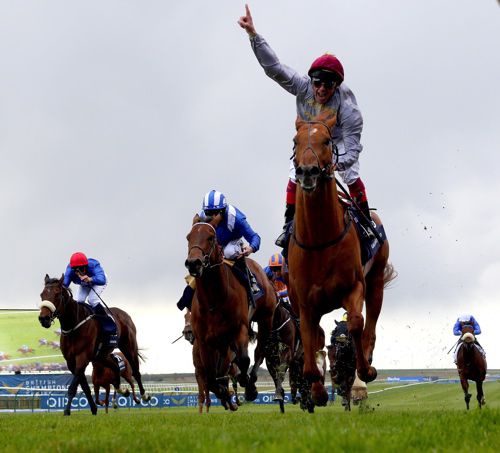 Galileo Gold
