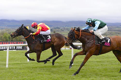 Prove The Point, far side, holds off True Companion