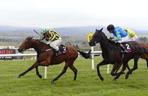 Oiche Mhaith Boy, far side, outguns Shamar in Sligo