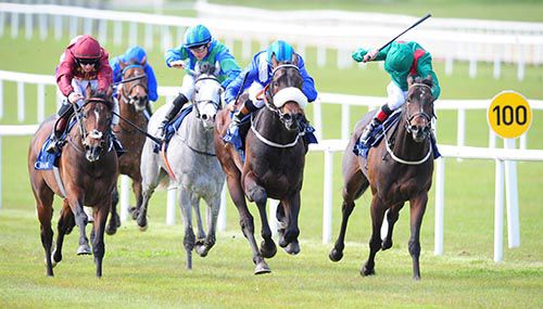 Atwaad (noseband) proves too good for his rivals in the Tetrarch