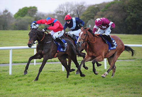 Middlebrow (red) is ridden out by Barry O'Neill to beat Dounikos and Slippery Serpent (inner)