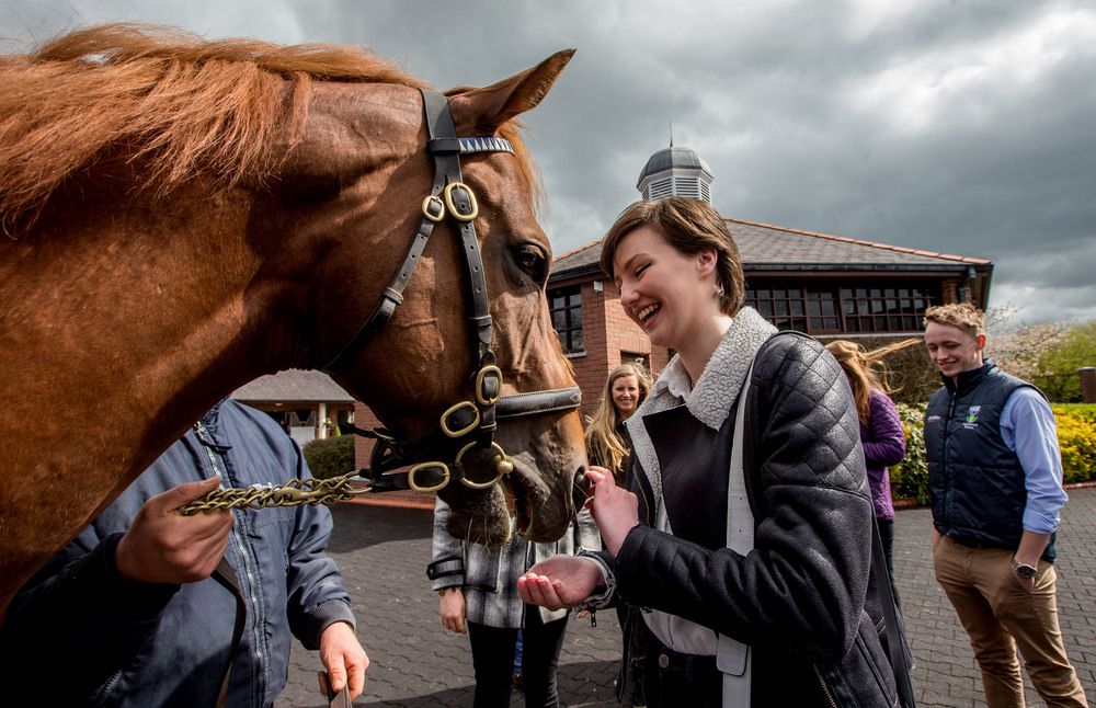 Aoife Costello DCU meets Night of Thunder