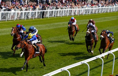 Cannock Chase and Ryan Moore come home in front