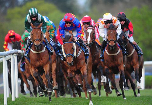 Conor Hoban (dark green) is right up there on Danequest