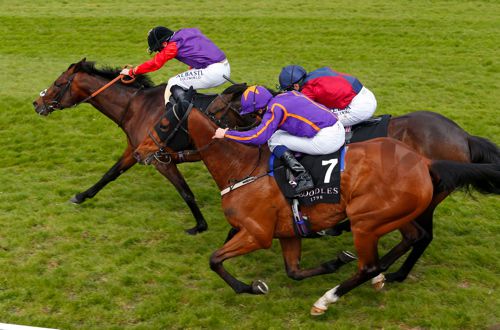 Dartmouth beats Wicklow Brave