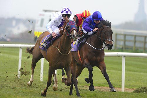 Fiuntach, left, goes on from Evening Hush