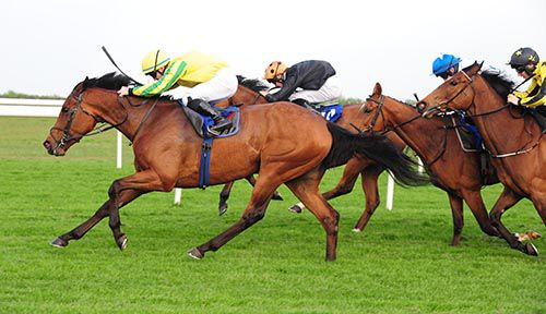 Synopsis & Gary Carroll (yellow) pictured on their way to victory