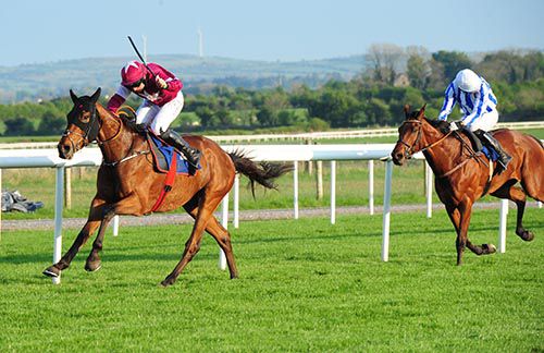 Blood Crazed Tiger is ridden out by Jamie Codd to beat Lakeside Castle and Kevin Power
