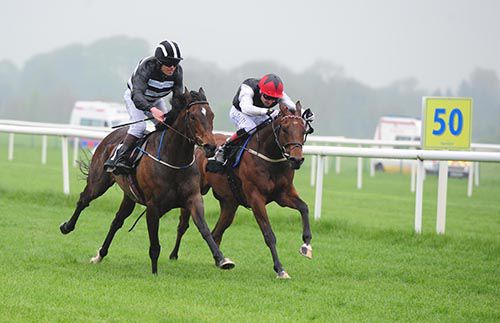 Fainleog, left, pips A Likely Story in Tipperary