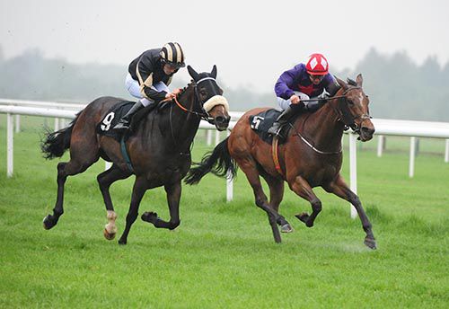 Shanghai Beauty, right, collars Sweetest Taboo