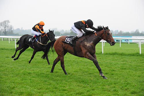 Whippers Dram approaches the winning post in Tipperary