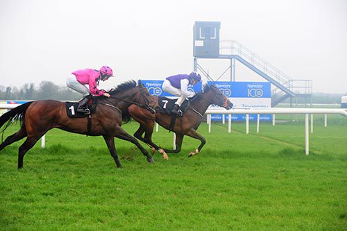 Camile leads Niven home in Tipperary