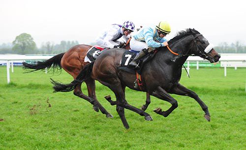 Youceeyouceecee holds off Elusive Approach in Tipperary
