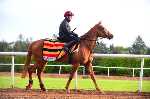Coolmore finished third