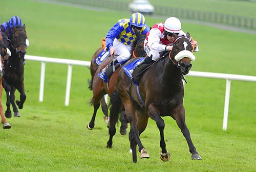 Peticoatgovernment and Leigh Roche 