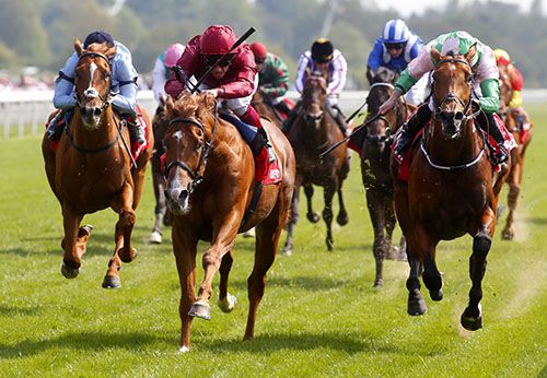 Wings Of Desire and Frankie Dettori (centre)