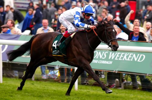 Nemoralia and Frankie Dettori