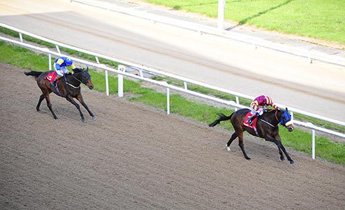 Specific Gravity heads for home well clear in Dundalk