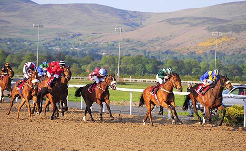 Brokopondo (rail) on the way to victory under Ronan Whelan