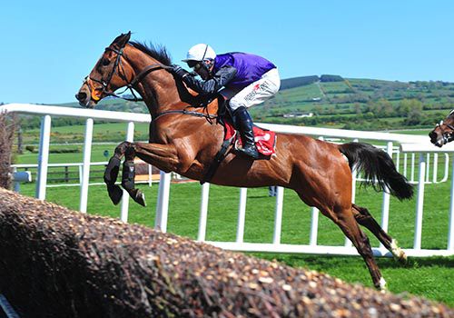 Mr Fiftyone puts in a great jump at Punchestown