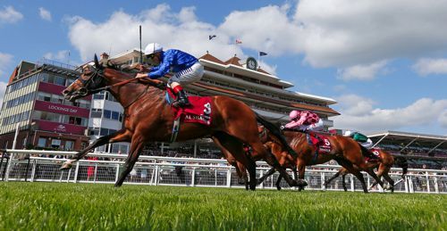 Endless Drama was eventually 3rd to Belardo in the Lockinge