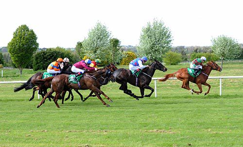 Hint Of Frost leads them home under Colm O'Donoghue