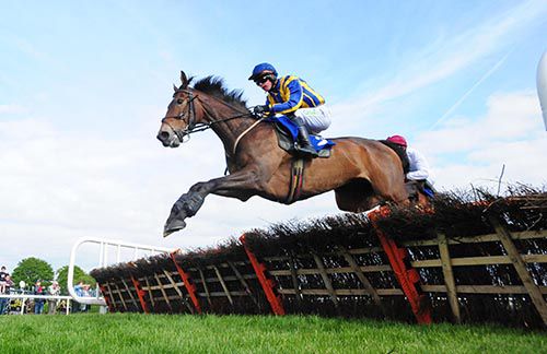 Consharon Boy pictured on his way to victory under David Splaine