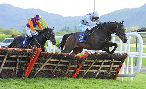 Conduct Yourself jumps the last ahead of Ballyadam Brook