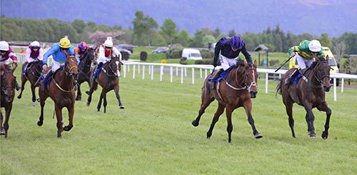 Cantlow (white cap) gets up to deny Your Busy (alongside)