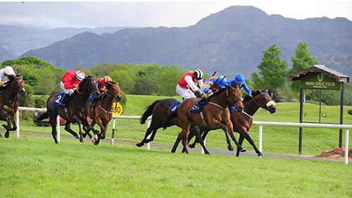 The Mouse Doctor, blue and yellow cap, comes to take the spoils in Killarney