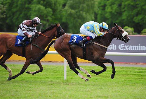 Abraham leads Jocular home in Killarney