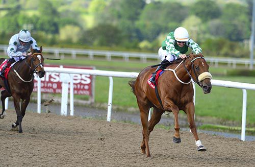 Yulong Baobei and Shane Foley are clear from Gold Locket