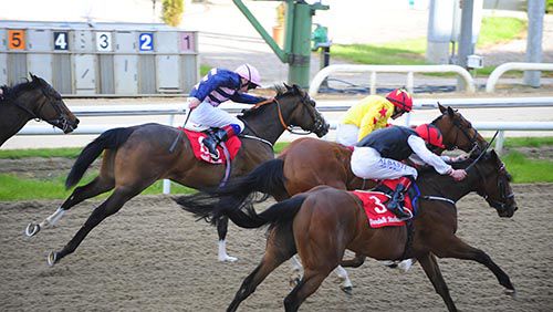 Arcara and Declan McDonogh (far-side) lands the spoils from Aspar and A Likely Story