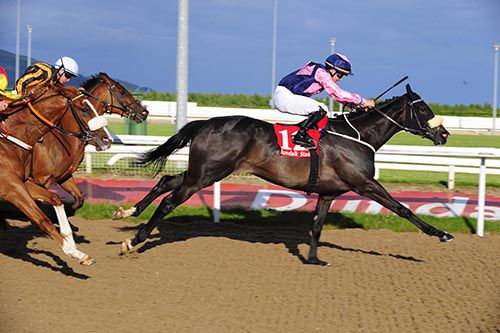 Suvenna and Shane Foley prevails