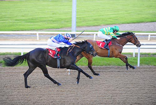 Arbourfield and Billy Lee prevail from Sister Slew