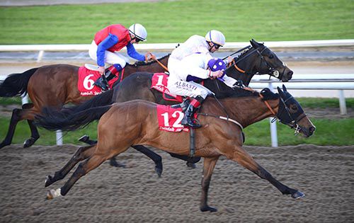 My Manekineko and Pat Smullen (nearside) mows down Zemario and Ibsen