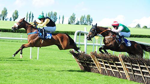 Sarah Joyce (Mark Walsh) leads home from Artists Daughter (eventual 3rd)