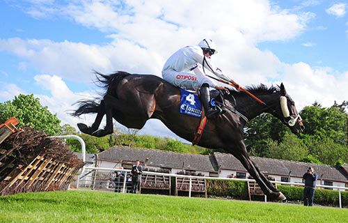 Black Warrior and Davy Russell fly home to victory