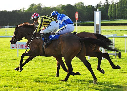 You Can't Catch Me (Brian O'Connell, nearside) just gets up to beat Cloudy Morning