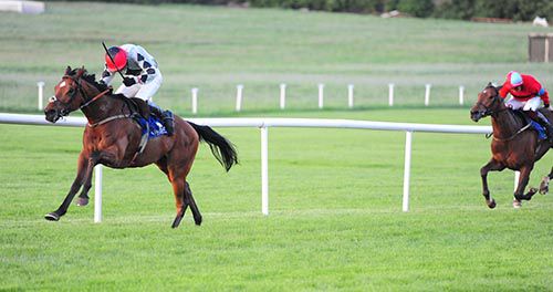 Gunner Mcgregor and Keith Cogley are clear from Callyerman at Clonmel