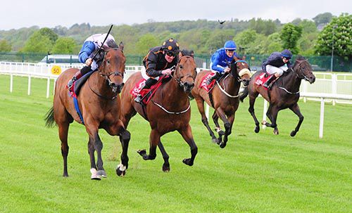 Ardhoomey (nearside, Colin Keane) gets the upper hand on Abstraction and the rest