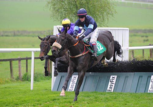 Twilight Shadow and David Mullins