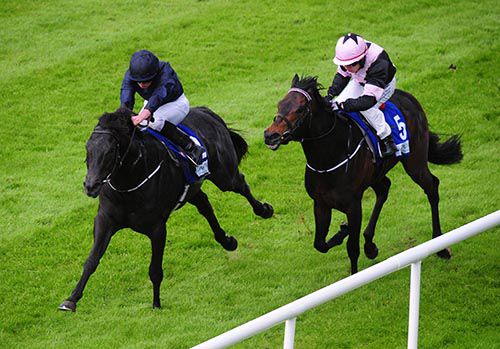 Caravaggio, left, goes on from Mister Trader