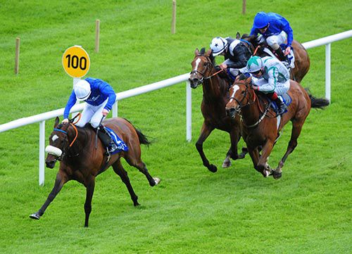 Devonshire approaches the line in the Curragh
