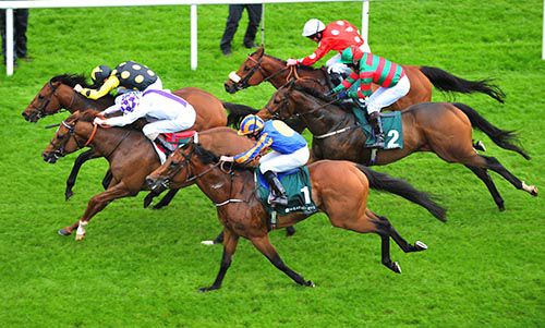 Mobsta, yellow and black, leads home a bunched finish